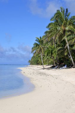 Manzara Titikaveka beach Rarotonga Cook Adaları