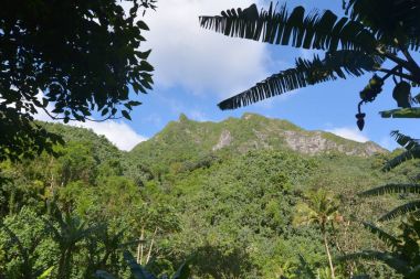Te Manga dağ Rarotonga cook Adaları
