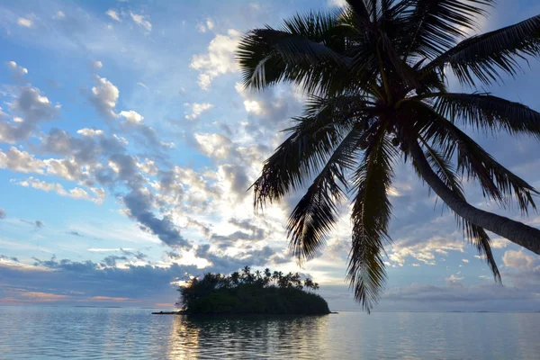 Gündoğumu Muri lagün Rarotonga Coo Taakoka adacık ve palmiye ağacı — Stok fotoğraf