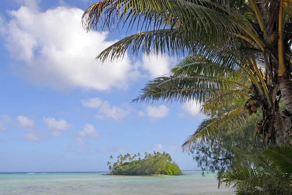 Taakoka iset Muri Lagoon Rarotonga Cook Islands — kuvapankkivalokuva