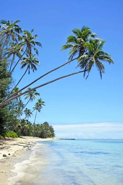 Landschap Titikaveka strand Rarotonga, Cookeilanden — Stockfoto
