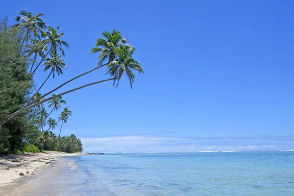 Landschap Titikaveka strand Rarotonga, Cookeilanden — Stockfoto