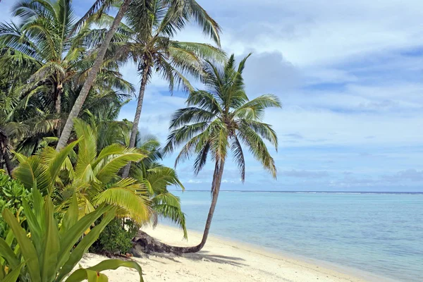 Paisagem Praia de Titikaveka Rarotonga Ilhas Cook — Fotografia de Stock