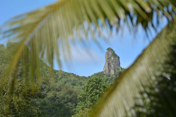 Te Rua Manga Rarotonga Îles Cook — Photo