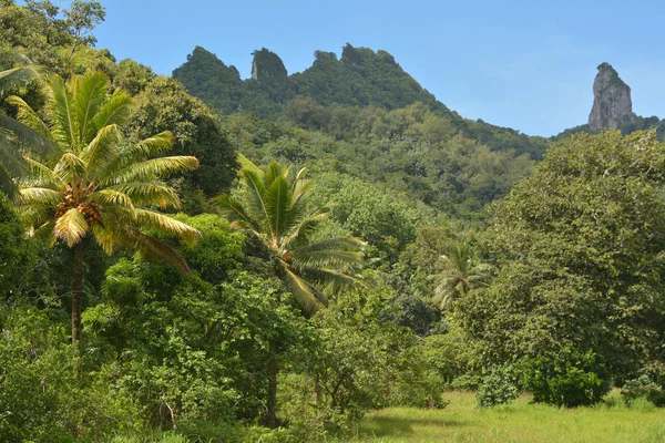 Te Rua Manga Rarotonga Cooköarna — Stockfoto