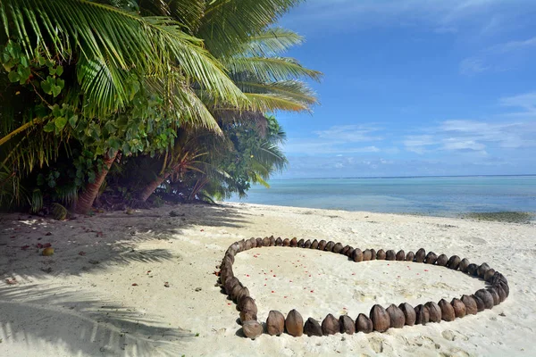 Heart made out of coconuts Rarotonga Cook Islands Stock Picture