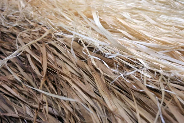 Raffia Pacific Islands skirt straw background. — Stock Photo, Image