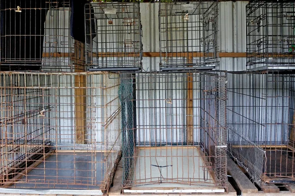 Empty metal cages in animal shelter