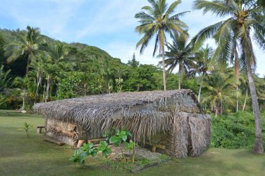 Güney Pasifik Polinezya Köyü Rarotonga Cook Adaları
