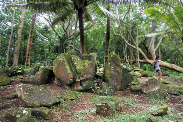 拉罗通加 2017年12月13日 南太平洋波利尼西亚古代祭祀岩石遗址在拉罗汤加的高原雨林 库克群岛 — 图库照片