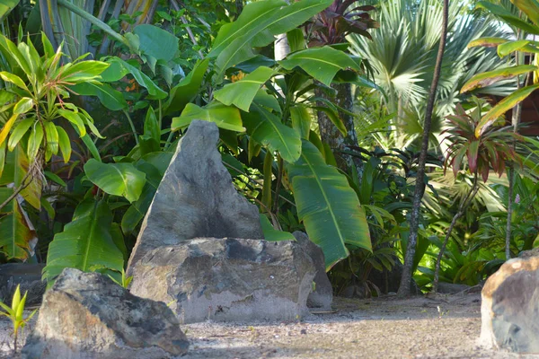 Antica Marae a Rarotonga Isole Cook — Foto Stock