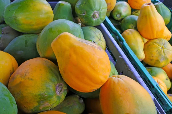 Graines de fruits de papaye détail de près — Photo