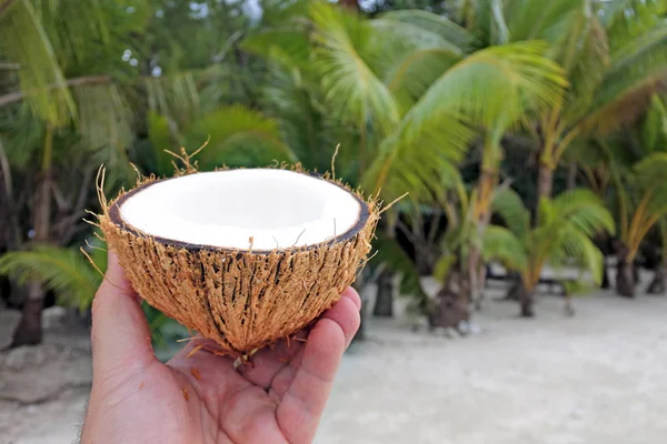 Mann hält eine geöffnete Kokosfrucht rarotonga Kochinseln hoch — Stockfoto