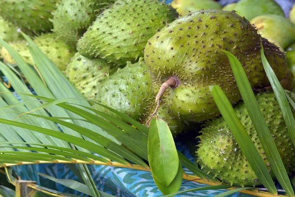 Frutas de Soursop para lajes no mercado das Ilhas Cook Rarotonga — Fotografia de Stock