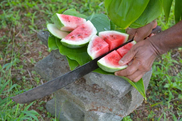Koken islander bezuinigingen watermeloen met lang scherp mes in Rarotonga — Stockfoto