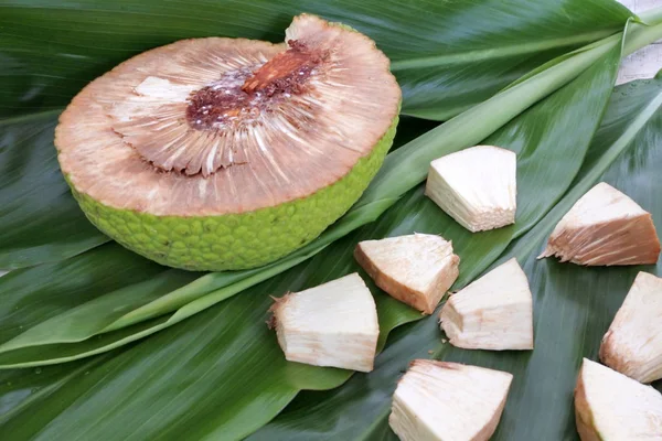 BRÖDFRUKTTRÄD skivor i Rarotonga Cooköarna — Stockfoto