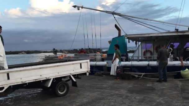 Cook Islanders Fishermen Unloading Catch Ports Avatiu Cook Islands Exclusive — Stock Video