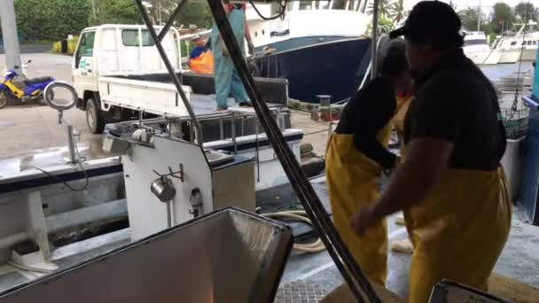 Los Pescadores Las Islas Cook Descargan Sus Capturas Puertos Avatiu — Vídeos de Stock