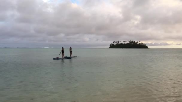 Unrecognizable Couple Peddle Boarding Muri Lagoon Rarotonga Cook Islands Dusk — Stock Video