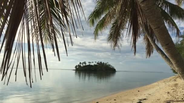 Paisaje Laguna Muri Atardecer Rarotonga Cook Island — Vídeos de Stock