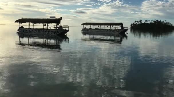 Polynesiska Båtar Förtöjning Över Muri Lagoon Skymningen Rarotonga Cooköarna — Stockvideo