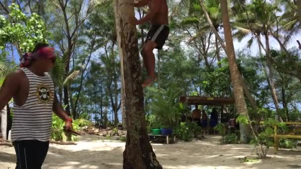 Szakács Islander Man Mászni Egy Kókuszdió Rarotonga Cook Szigetek — Stock videók