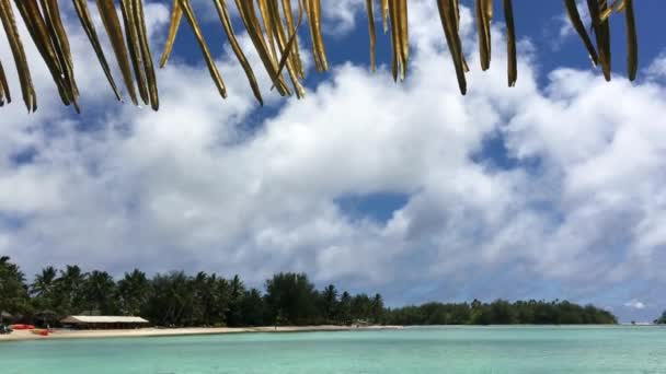 穆里泻湖景观在拉罗通加库克群岛 穆里泻湖是在拉罗通加库克群岛的休闲水运动和旅游观光的必受欢迎的地方 — 图库视频影像