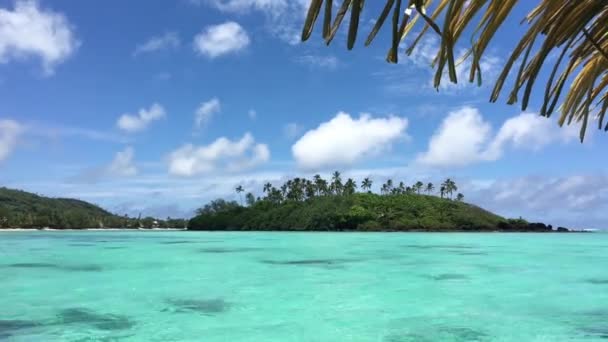 Paisaje Laguna Muri Rarotonga Islas Cook Laguna Muri Lugar Popular — Vídeos de Stock