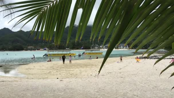 ラグーンのラロトンガ島クック諸島の風景 ラグーンはする必要があります人気の場所あちこちレクリエーション ウォーター スポーツや観光でラロトンガ島クック諸島の観光 — ストック動画