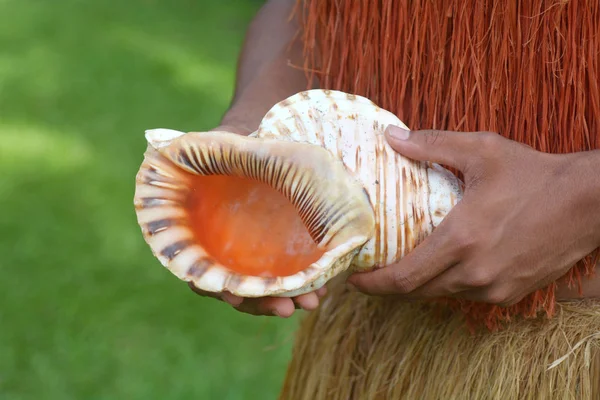 Человек с острова Кук держит рог ракушки на острове Раротонга Кук — стоковое фото