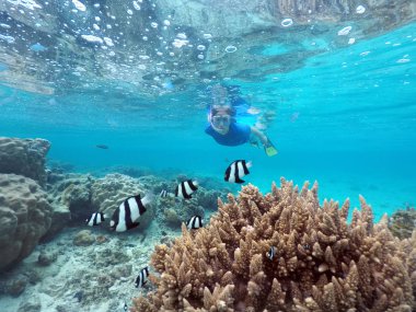 Kadın Şnorkelle Dalma Rarotonga Cook Adaları