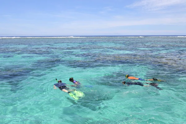 Turistler Şnorkelle Dalma Rarotonga Cook Adaları — Stok fotoğraf