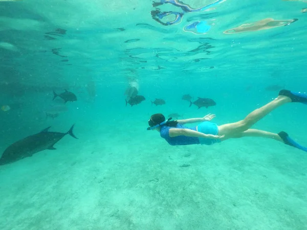 Woman snorkelling with giant trevally fish in Rarotonga Cook Isl — Stock Photo, Image