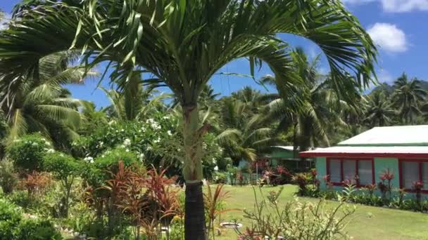 Koloniala Hus Rarotonga Cooköarna — Stockvideo