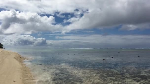 Gotować Wyspiarzy Rybaków Połowów Rafę Wyspy Cooka Rarotonga — Wideo stockowe