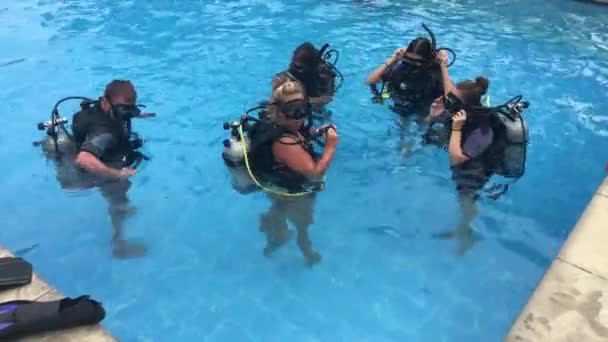 Groep Mensen Leren Duiken Een Zwembad Rarotonga Cookeilanden — Stockvideo