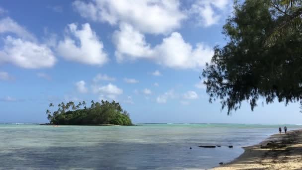 Widok Krajobrazu Zalewu Muri Rarotonga Wyspy Cooka — Wideo stockowe