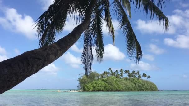Pohled Krajinu Muri Laguny Rarotonga Cookovy Ostrovy — Stock video