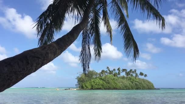 Tájkép Muri Lagúna Rarotonga Cook Szigetek — Stock videók