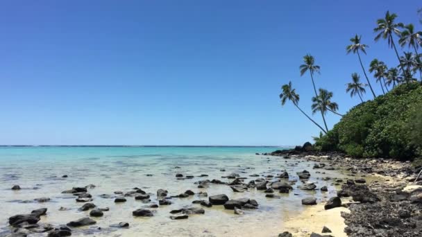 Пейзажний Вид Місті Muri Лагуни Rarotonga Острова Кука — стокове відео