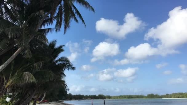 Widok Krajobrazu Zalewu Muri Rarotonga Wyspy Cooka — Wideo stockowe