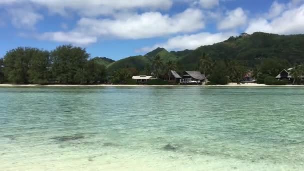 Pohled Krajinu Muri Laguny Rarotonga Cookovy Ostrovy — Stock video