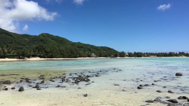 Vista Panoramica Della Laguna Muri Rarotonga Isole Cook — Video Stock