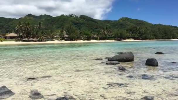 Widok Krajobrazu Zalewu Muri Rarotonga Wyspy Cooka — Wideo stockowe