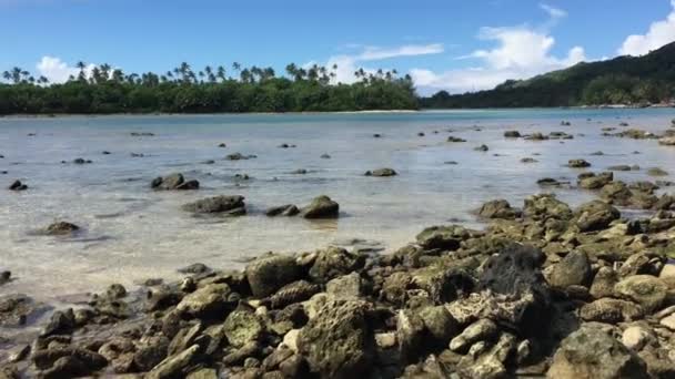 Paisaje Isla Rarotonga Desde Puerto Ngatangiia Rarotonga Islas Cook — Vídeo de stock