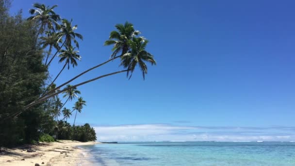 Krajobraz Titikaveka Plaża Wyspy Cooka Rarotonga — Wideo stockowe
