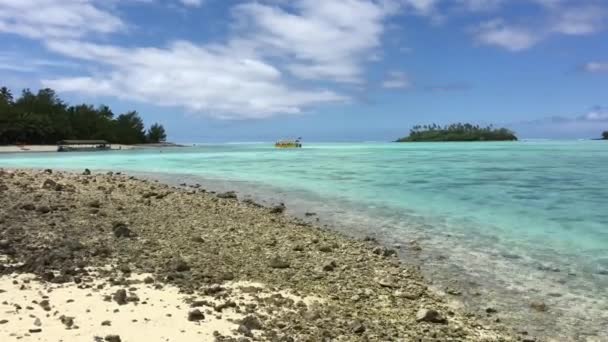 Veduta Panoramica Delle Isole Cook Della Laguna Muri — Video Stock