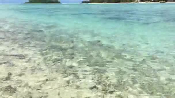Τοπίο Της Λιμνοθάλασσας Muri Ραροτόνγκα Νήσοι Κουκ — Αρχείο Βίντεο