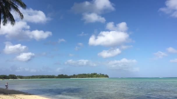 Widok Krajobrazu Zalewu Muri Rarotonga Wyspy Cooka — Wideo stockowe