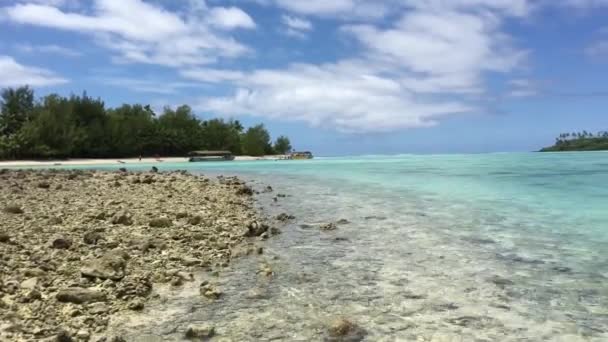 Pohled Krajinu Muri Laguny Rarotonga Cookovy Ostrovy — Stock video